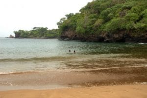 ElCapomo1