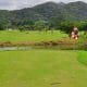 Field of Dreams Golf Course – El Monteón Riviera Nayarit Mexico