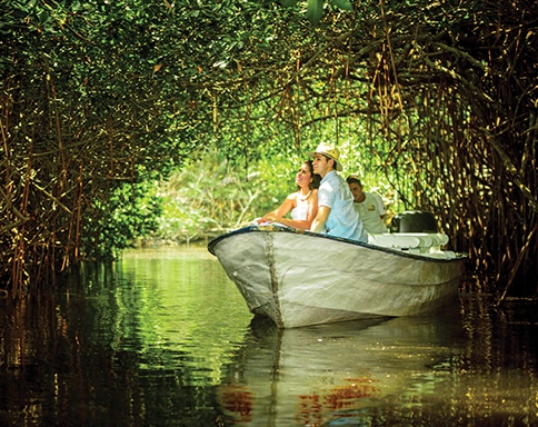 Young couple enjoying a boat ride through the Mangrove trees